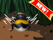 Click to Play Honey Bee Buddy