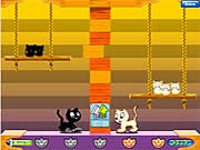 Click to Play Swing Cat