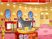 Click to Play Petz Fashion