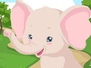Click to Play Elephant Care