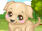 Click to Play Labrador Care