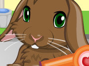 Click to Play Pet Bunny